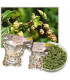 Houblon en pellets Magnum 100 grammes