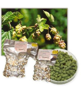 Houblon en pellets Magnum 1 kilo