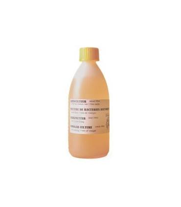Culture d'acetobacter 100 ml