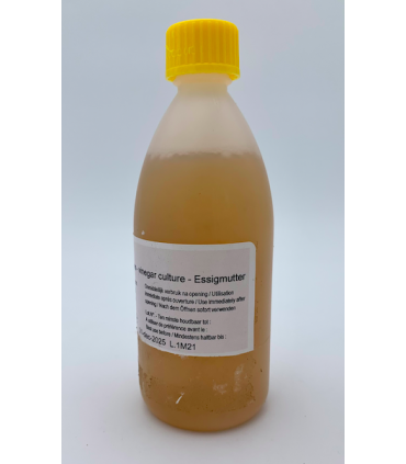 Culture d'acetobacter 100 ml