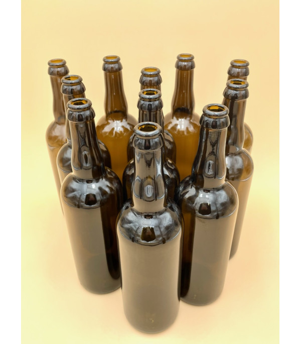 Bouteille de bière Belge 75 cl, brune, couronne 26 mm, boîte 12 pcs •  Brouwland