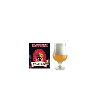 Kit de préparation pour bière type DIABOLO