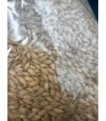 Viking Vienna Malt - 7-10 EBC - 5 kg
